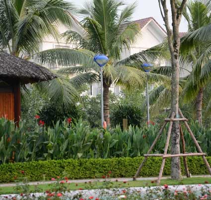 Đèn trang trí sân vườn con mắt Đèn trang trí sân vườn con mắt 