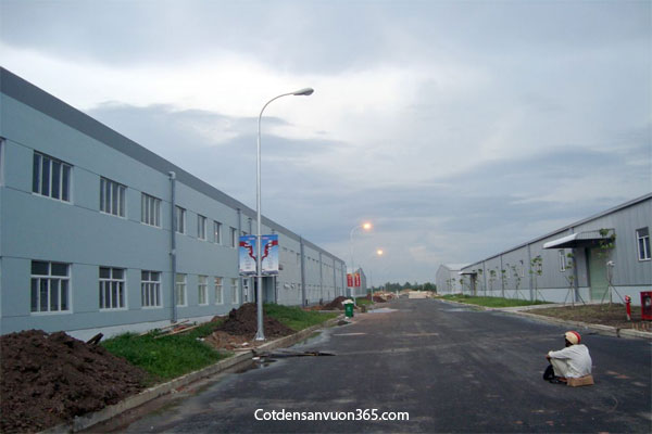 Cột Đèn Cao Áp 7m Cột đèn sân vườn 365